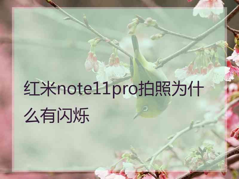 红米note11pro拍照为什么有闪烁