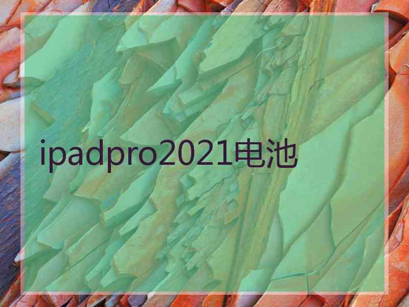 ipadpro2021电池