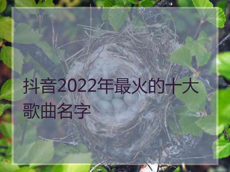 抖音2022年最火的十大歌曲名字