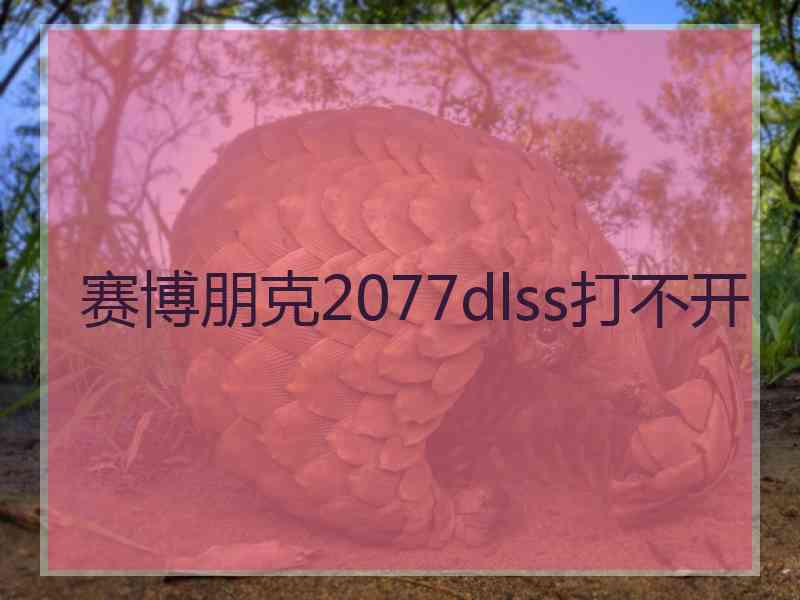 赛博朋克2077dlss打不开