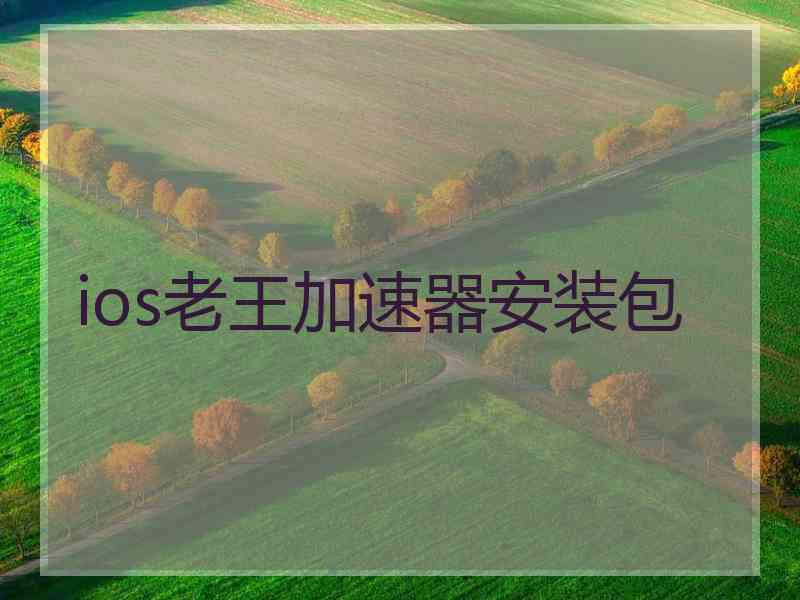 ios老王加速器安装包