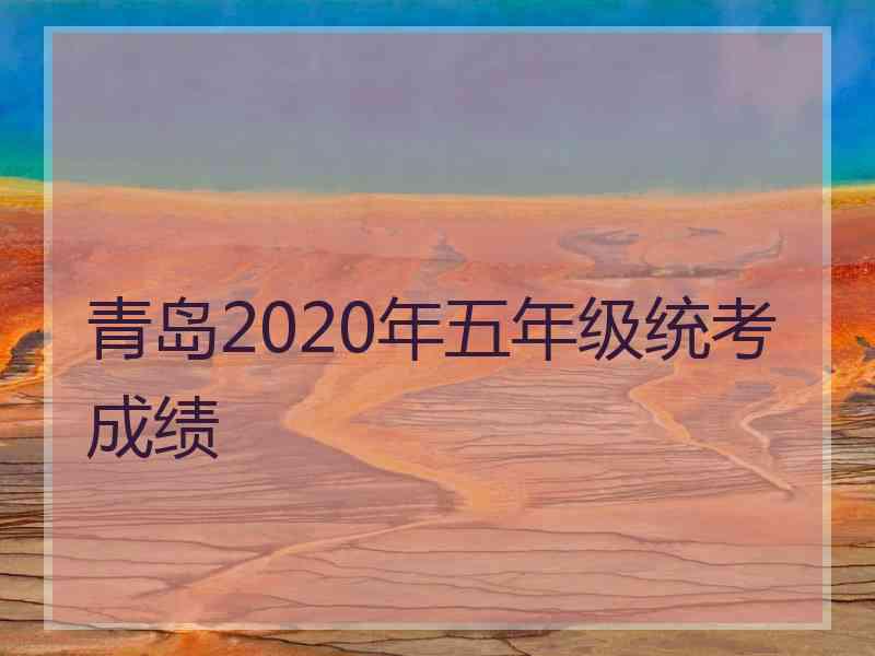 青岛2020年五年级统考成绩