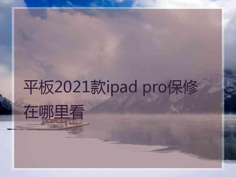 平板2021款ipad pro保修在哪里看