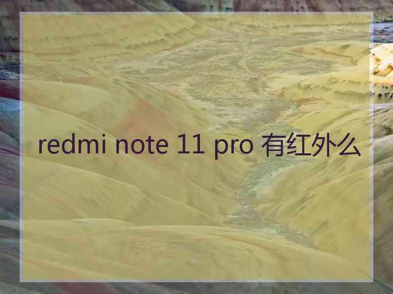 redmi note 11 pro 有红外么