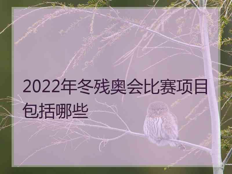 2022年冬残奥会比赛项目包括哪些