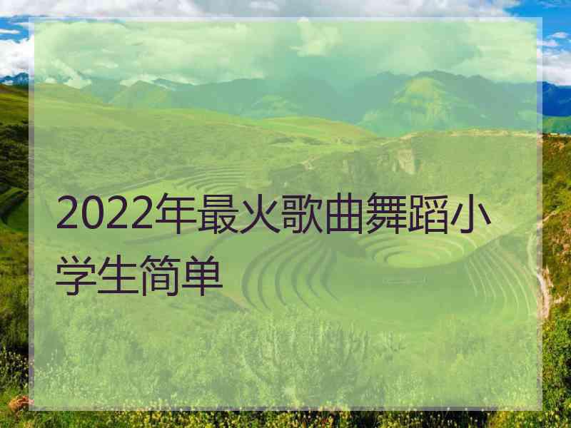 2022年最火歌曲舞蹈小学生简单