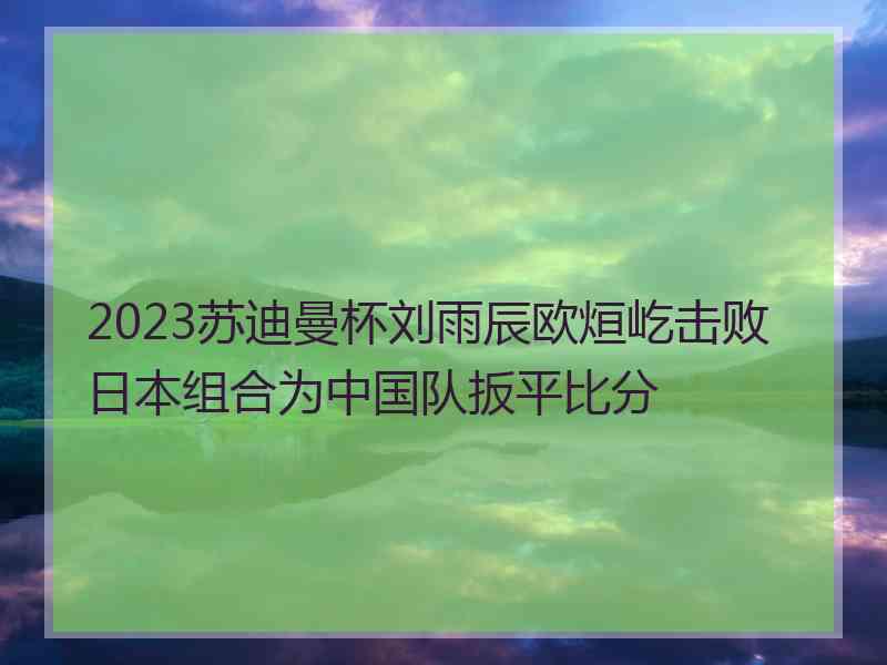 2023苏迪曼杯刘雨辰欧烜屹击败日本组合为中国队扳平比分