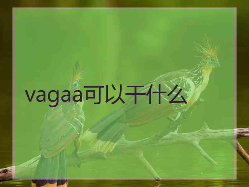 vagaa可以干什么