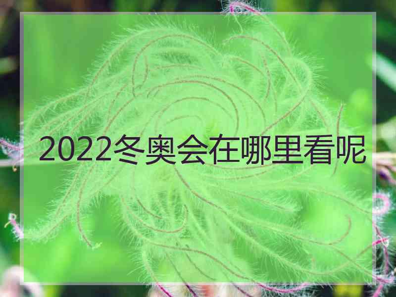 2022冬奥会在哪里看呢