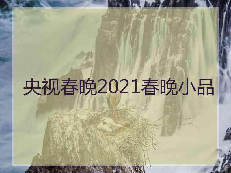 央视春晚2021春晚小品