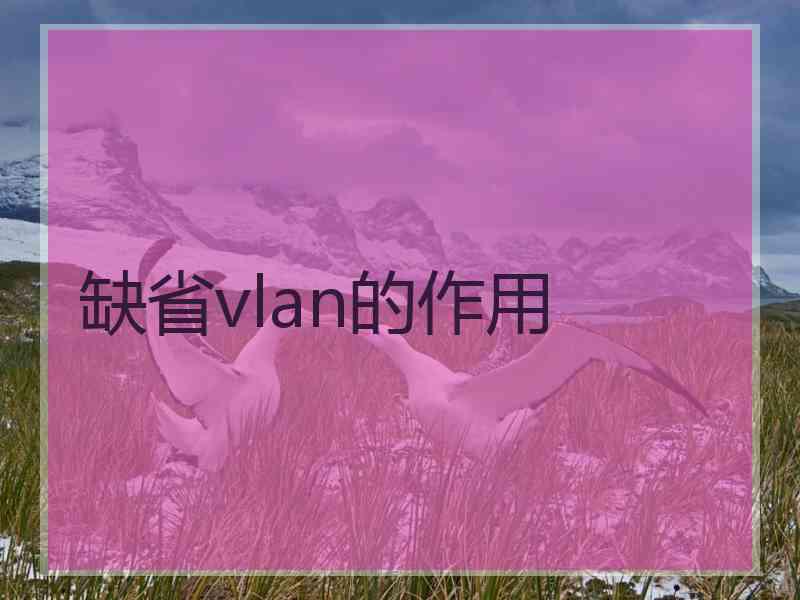 缺省vlan的作用