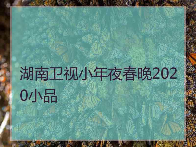 湖南卫视小年夜春晚2020小品