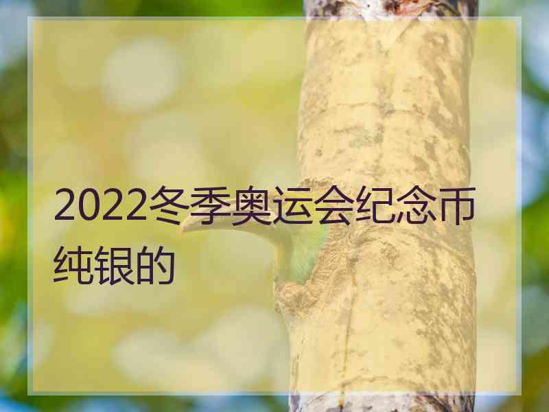 2022冬季奥运会纪念币纯银的