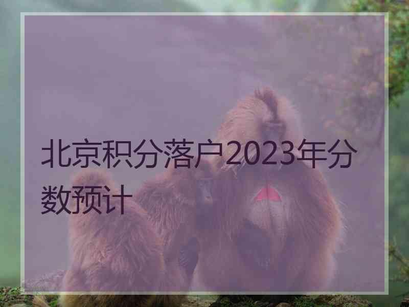 北京积分落户2023年分数预计