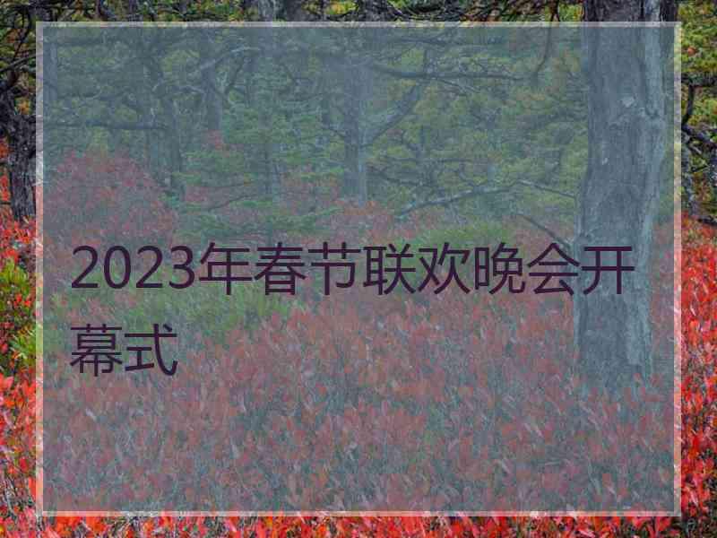 2023年春节联欢晚会开幕式