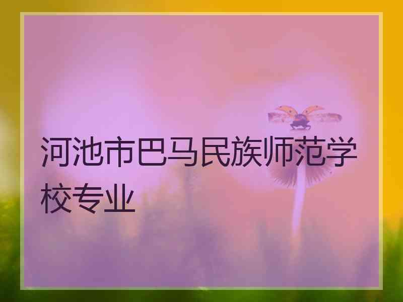 河池市巴马民族师范学校专业