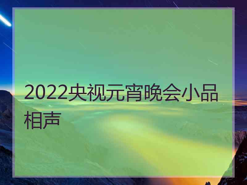 2022央视元宵晚会小品相声