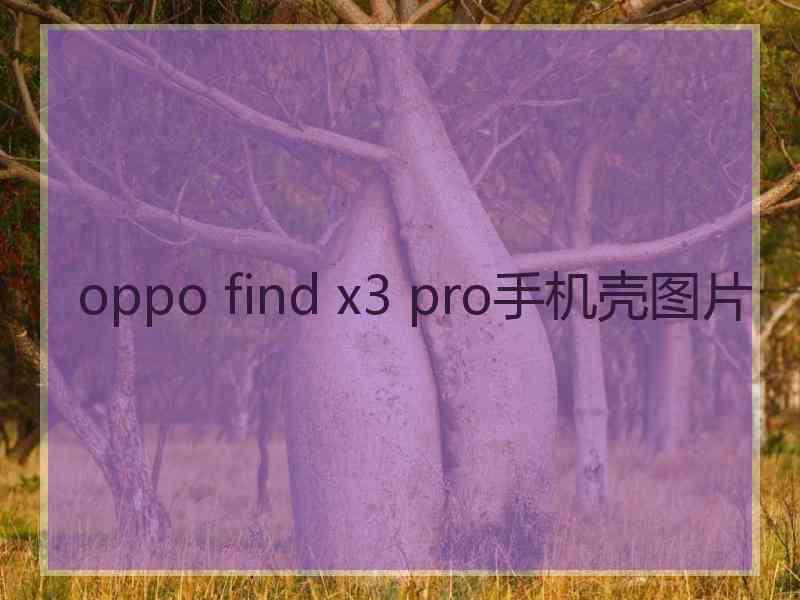 oppo find x3 pro手机壳图片