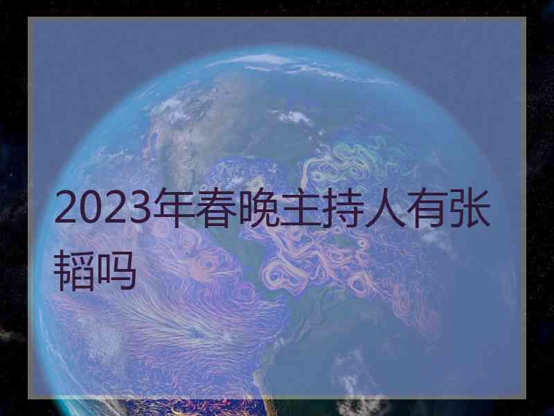 2023年春晚主持人有张韬吗