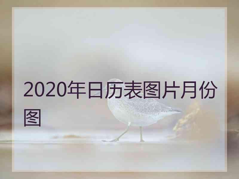 2020年日历表图片月份图