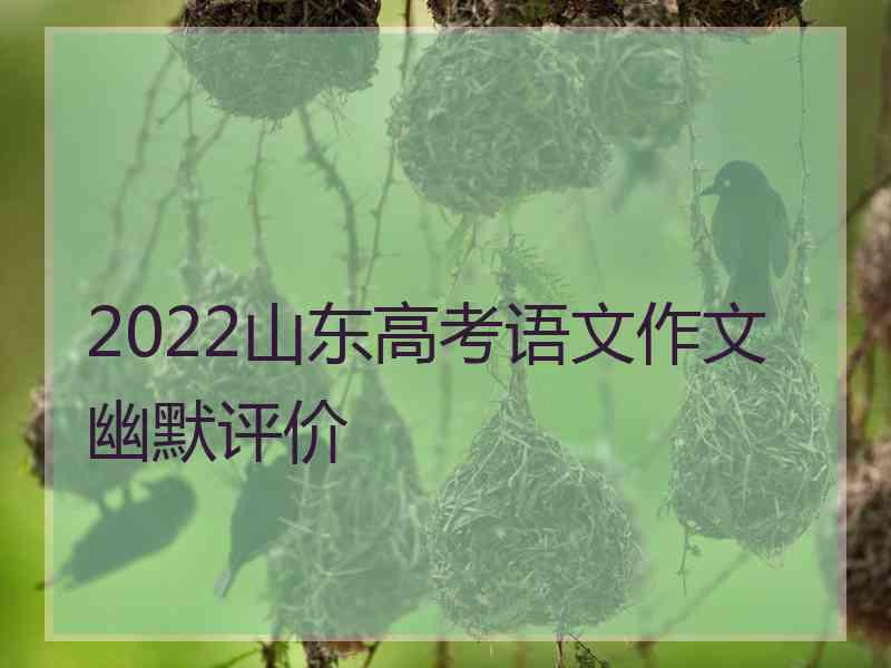 2022山东高考语文作文幽默评价