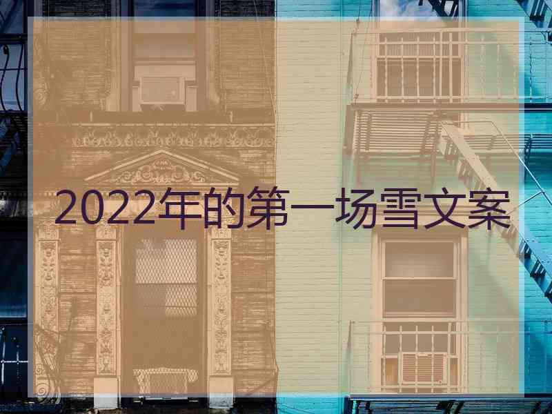 2022年的第一场雪文案