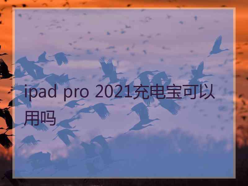 ipad pro 2021充电宝可以用吗