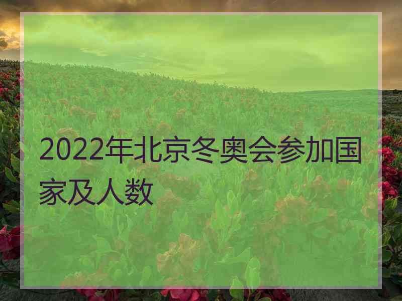 2022年北京冬奥会参加国家及人数