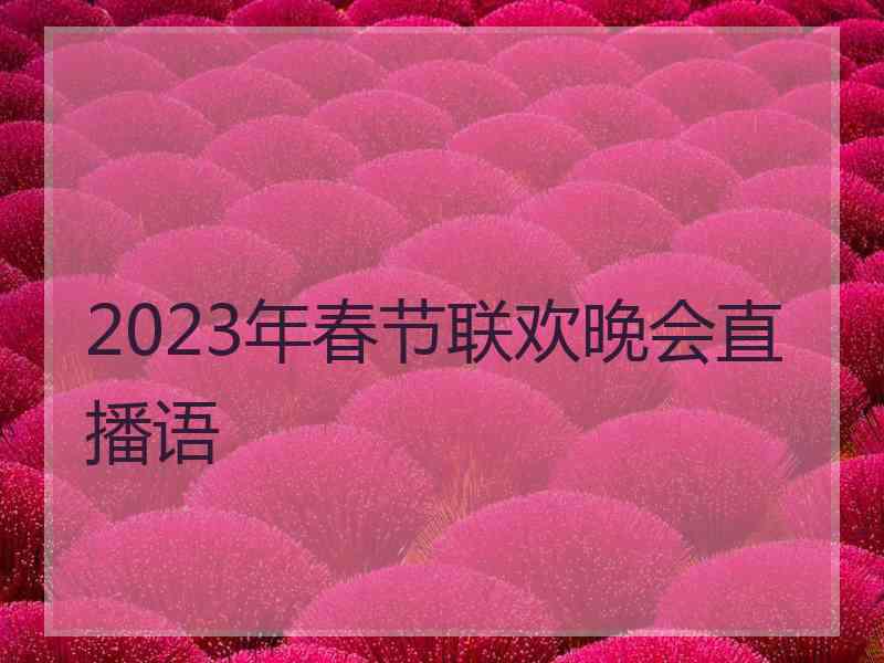 2023年春节联欢晚会直播语