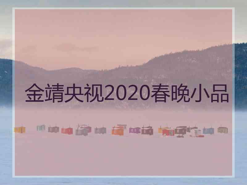 金靖央视2020春晚小品