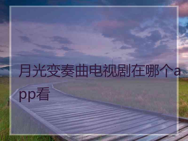 月光变奏曲电视剧在哪个app看