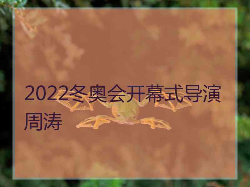 2022冬奥会开幕式导演周涛