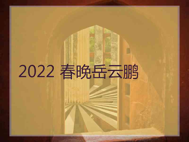 2022 春晚岳云鹏