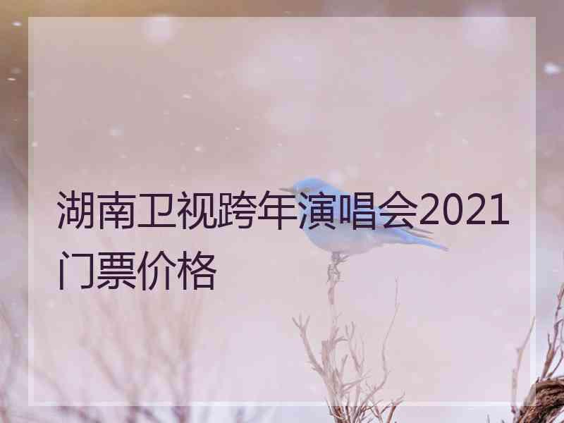 湖南卫视跨年演唱会2021门票价格