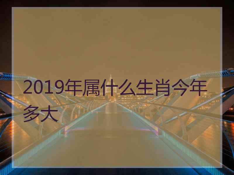 2019年属什么生肖今年多大