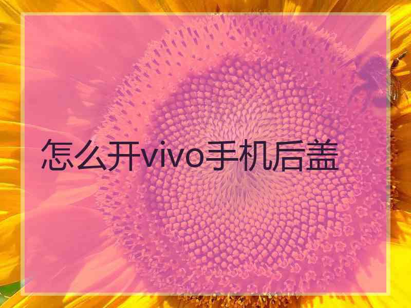 怎么开vivo手机后盖