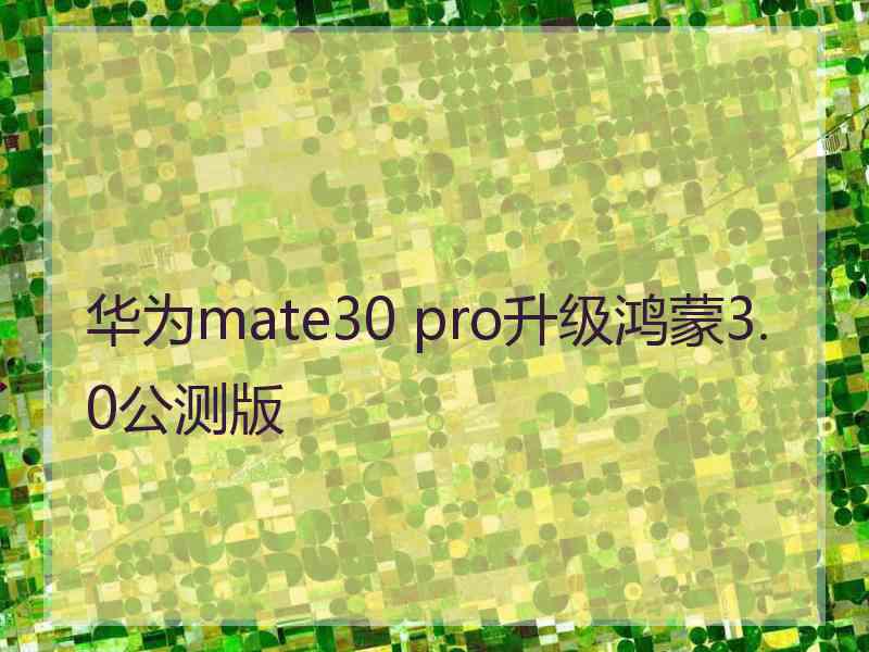 华为mate30 pro升级鸿蒙3.0公测版