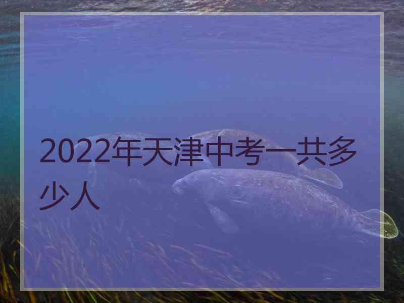 2022年天津中考一共多少人