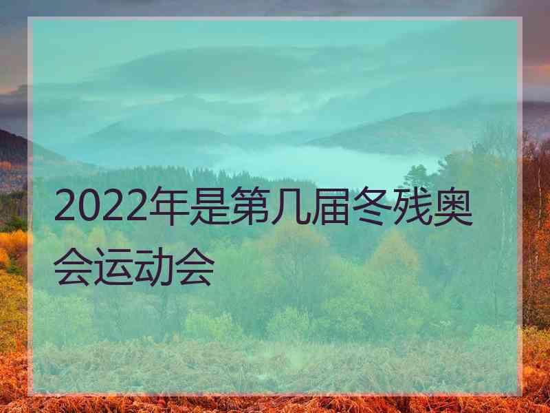 2022年是第几届冬残奥会运动会