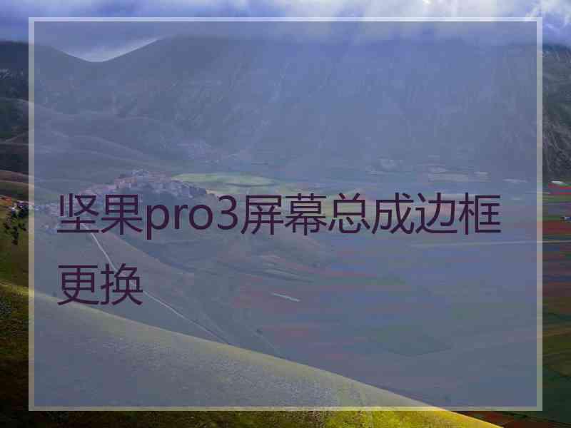 坚果pro3屏幕总成边框更换