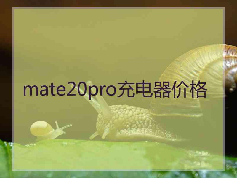 mate20pro充电器价格