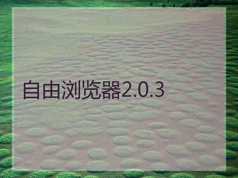 自由浏览器2.0.3