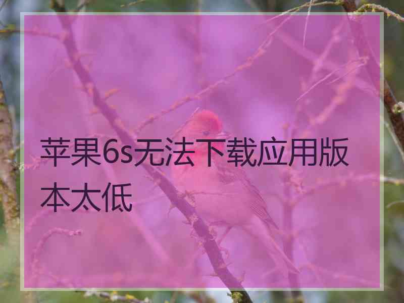 苹果6s无法下载应用版本太低