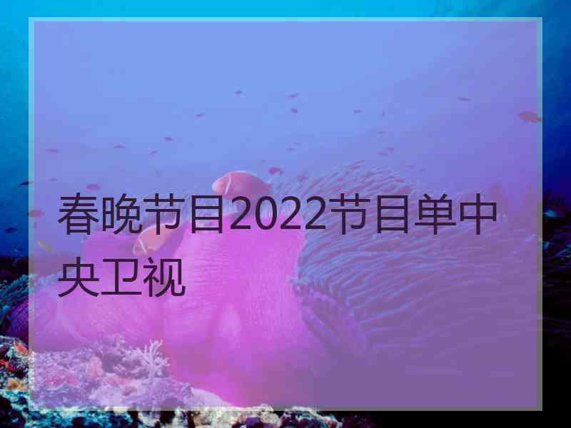 春晚节目2022节目单中央卫视