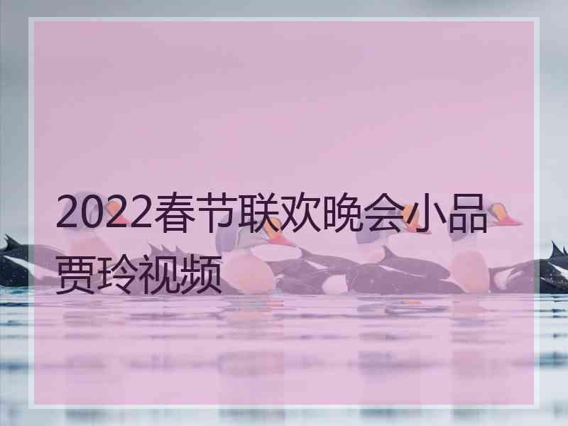 2022春节联欢晚会小品贾玲视频