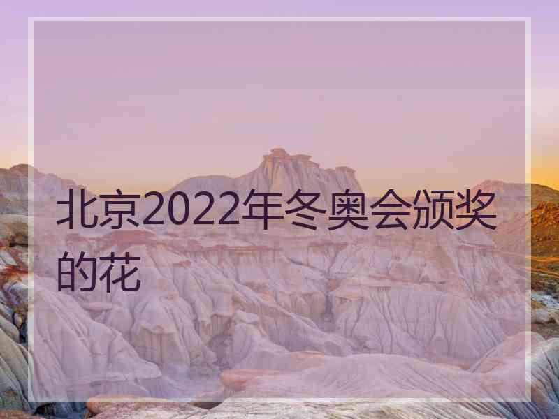 北京2022年冬奥会颁奖的花