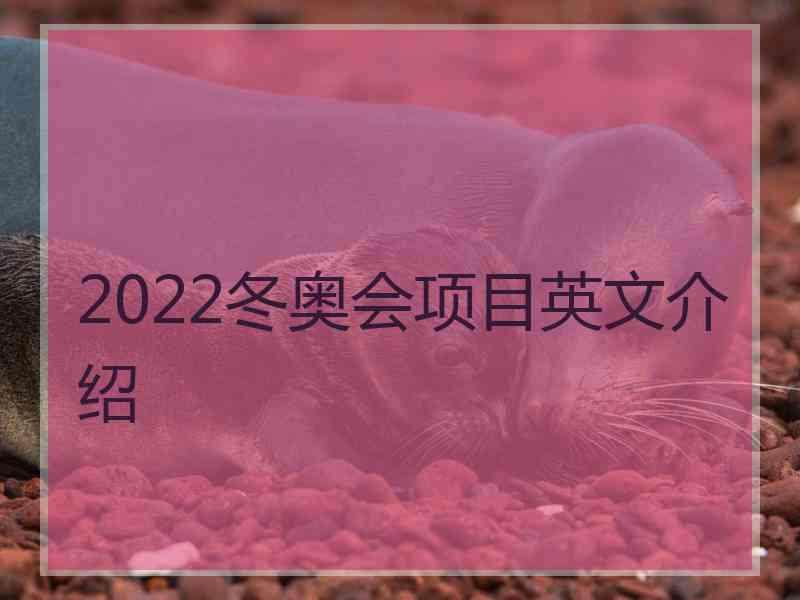 2022冬奥会项目英文介绍