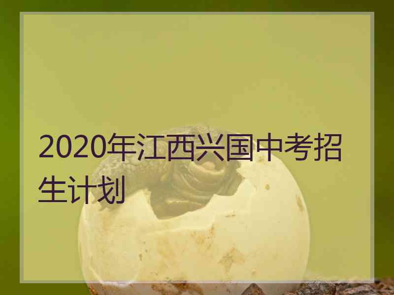 2020年江西兴国中考招生计划