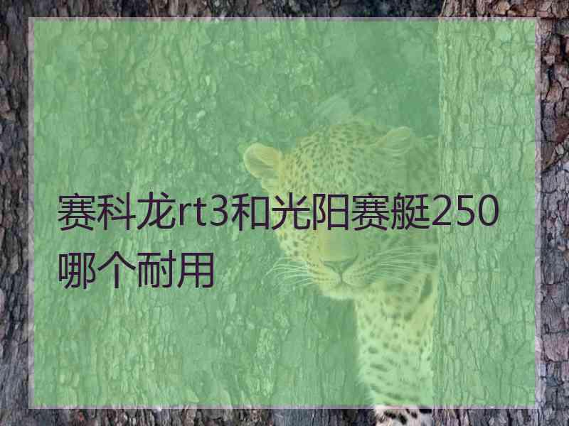 赛科龙rt3和光阳赛艇250哪个耐用