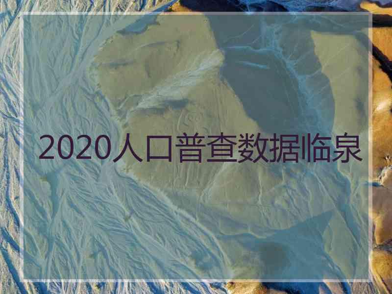 2020人口普查数据临泉